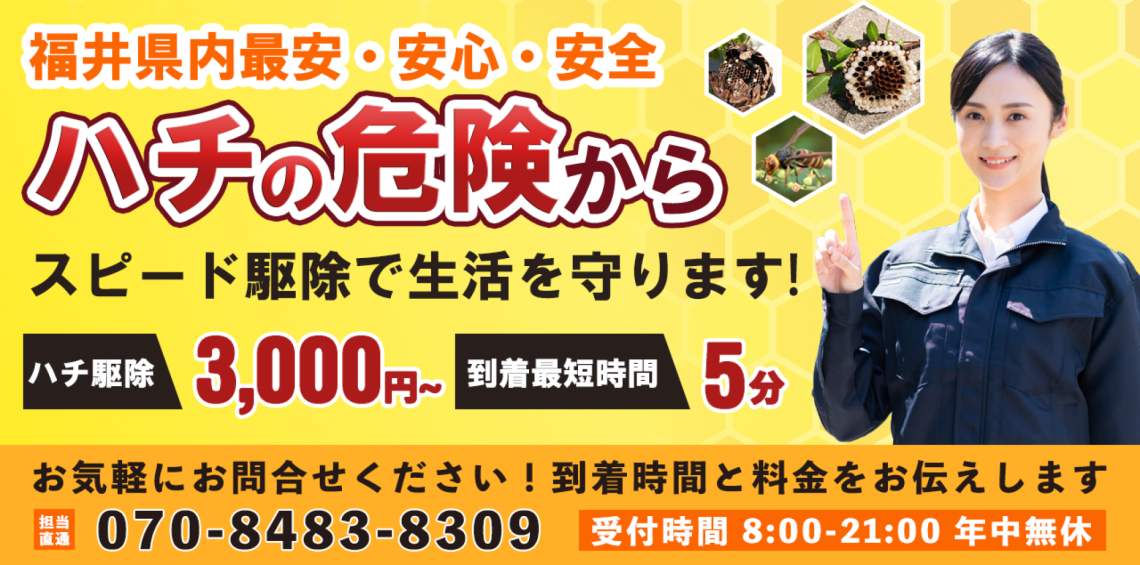 奈良の蜂の巣駆除屋さんの格安・安心・安全ハチ退治｜奈良県内最安値